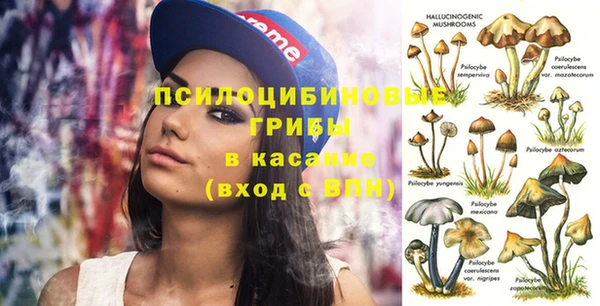 винт Абинск